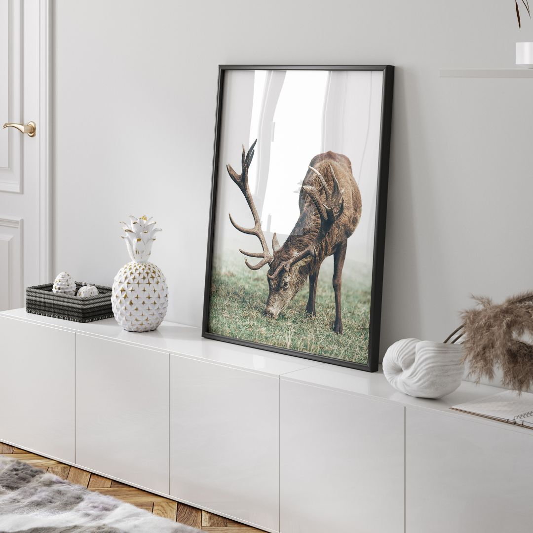 Mountain Deer