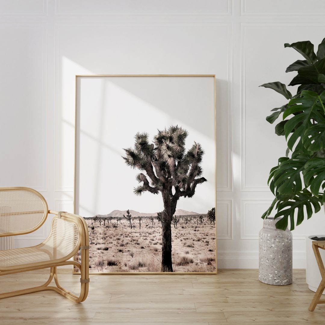 Joshua Tree