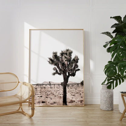 Joshua Tree