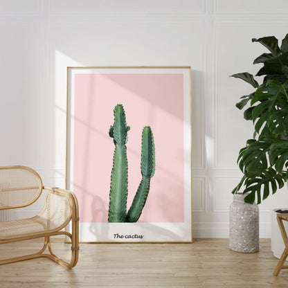 Pink Cactus