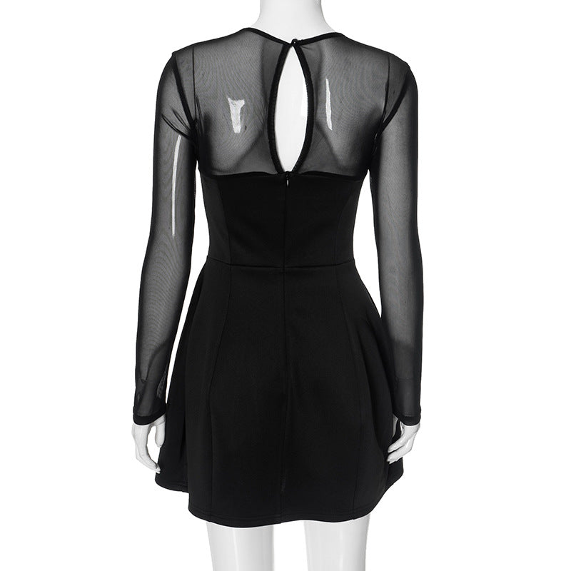 Mock Neck Mesh Yoke Long Sleeve Flared Mini Dress