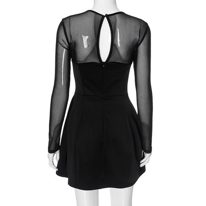 Mock Neck Mesh Yoke Long Sleeve Flared Mini Dress