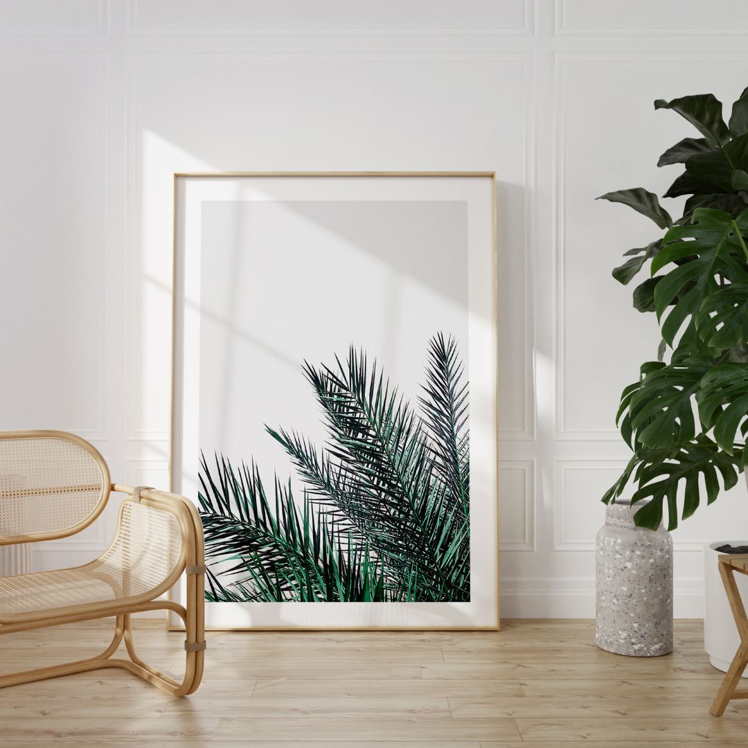 Palm