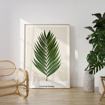 Coconut Leaves