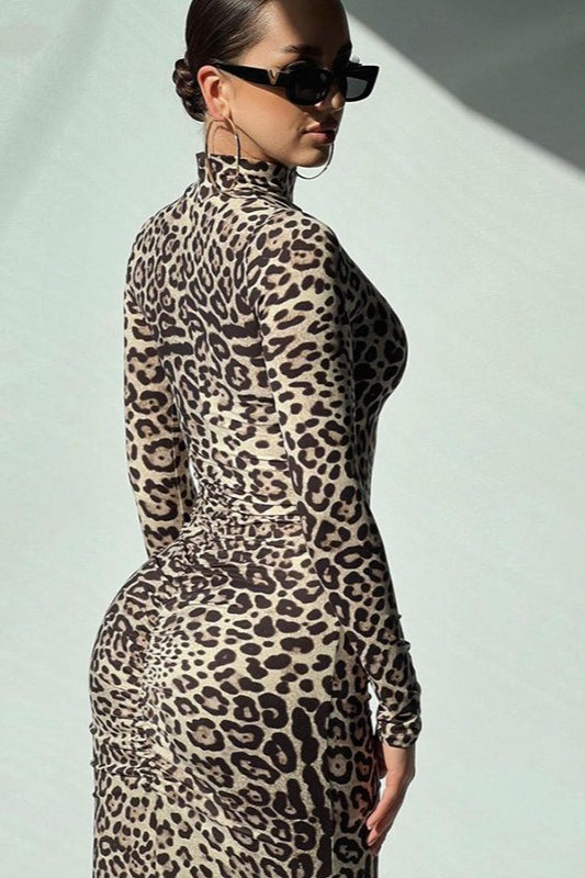 Leopard Print Long Sleeve High Neck Maxi Dress