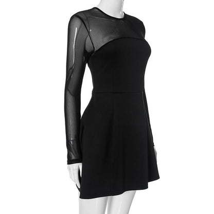 Mock Neck Mesh Yoke Long Sleeve Flared Mini Dress