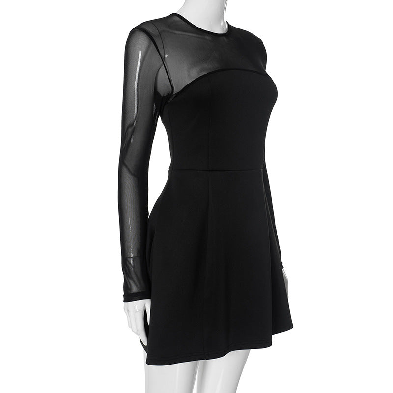 Sheer Mesh Yoke Long Sleeve Fit and Flare Skater Mini Dress