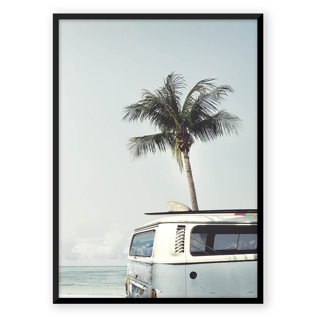 Coconut Paradise