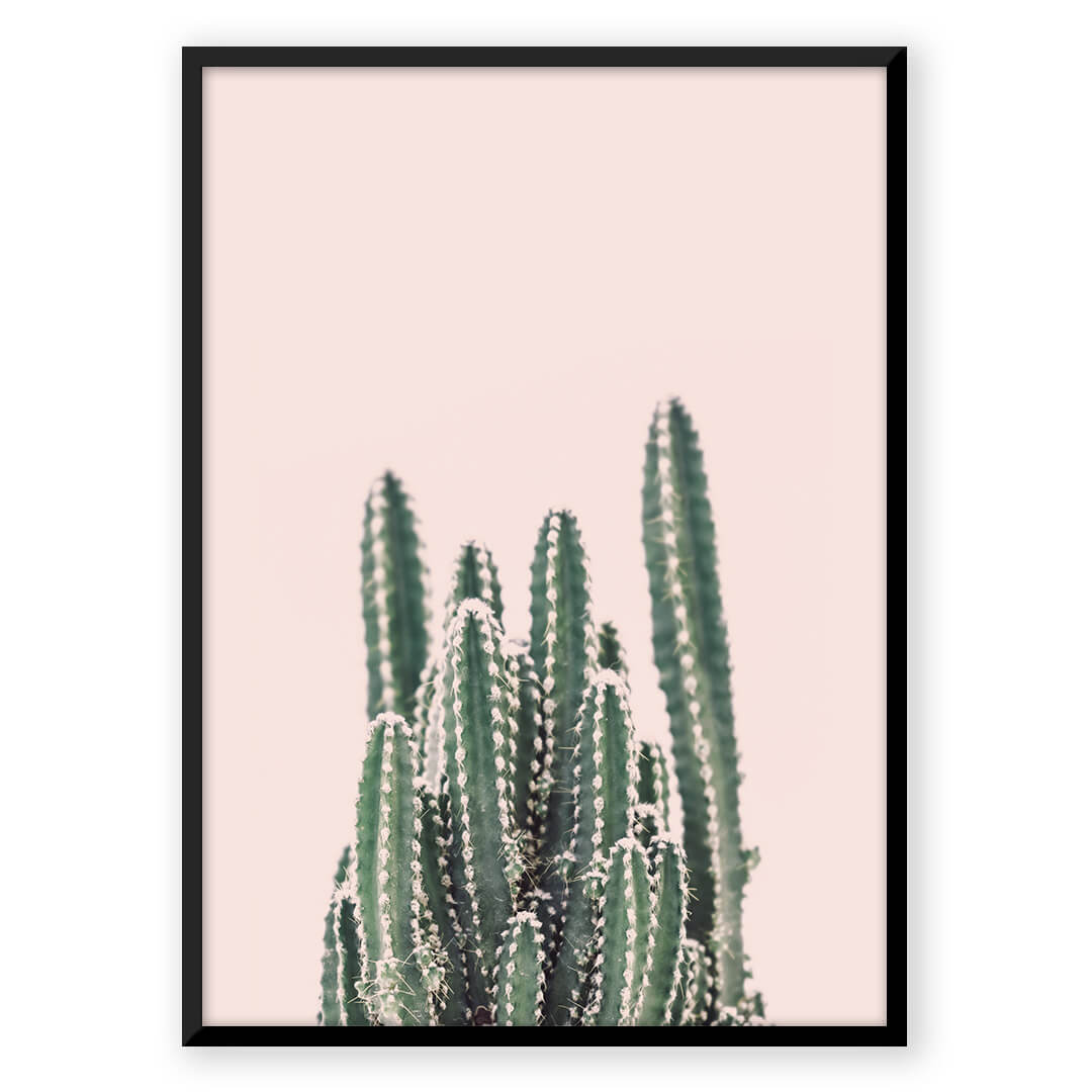 Rising Cactus