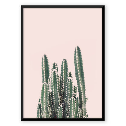 Rising Cactus