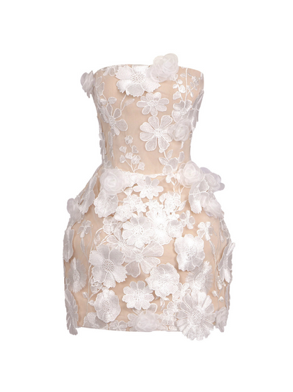 Strapless 3D Floral Applique Embroidered Mesh Bodycon Mini Dress