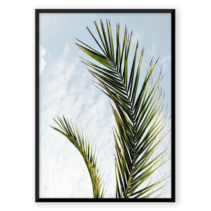 Botanical