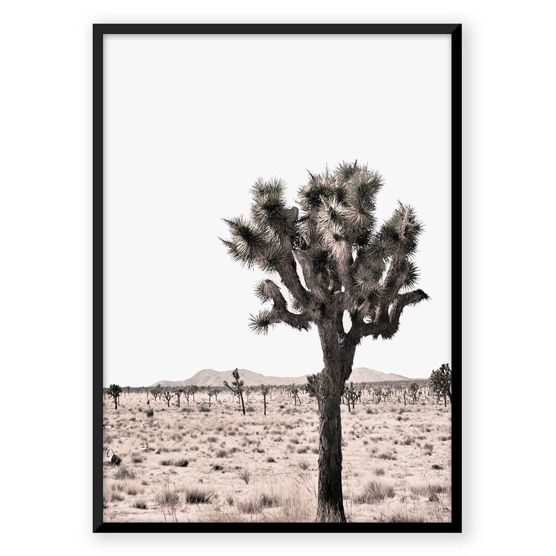 Joshua Tree
