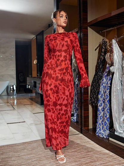 Print Mesh Long Sleeve High Neck Maxi Dress