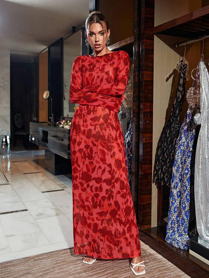 Print Mesh Long Sleeve High Neck Maxi Dress