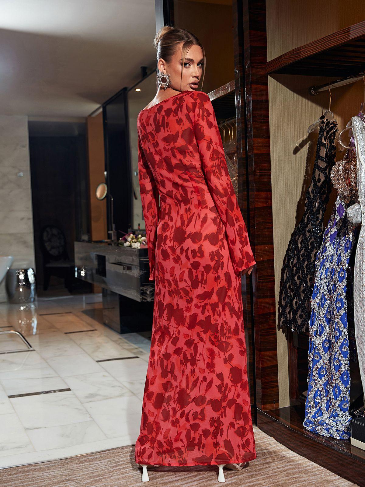 Print Mesh Long Sleeve High Neck Maxi Dress