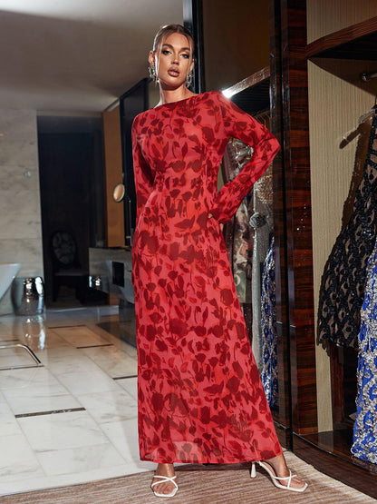 Print Mesh Long Sleeve High Neck Maxi Dress