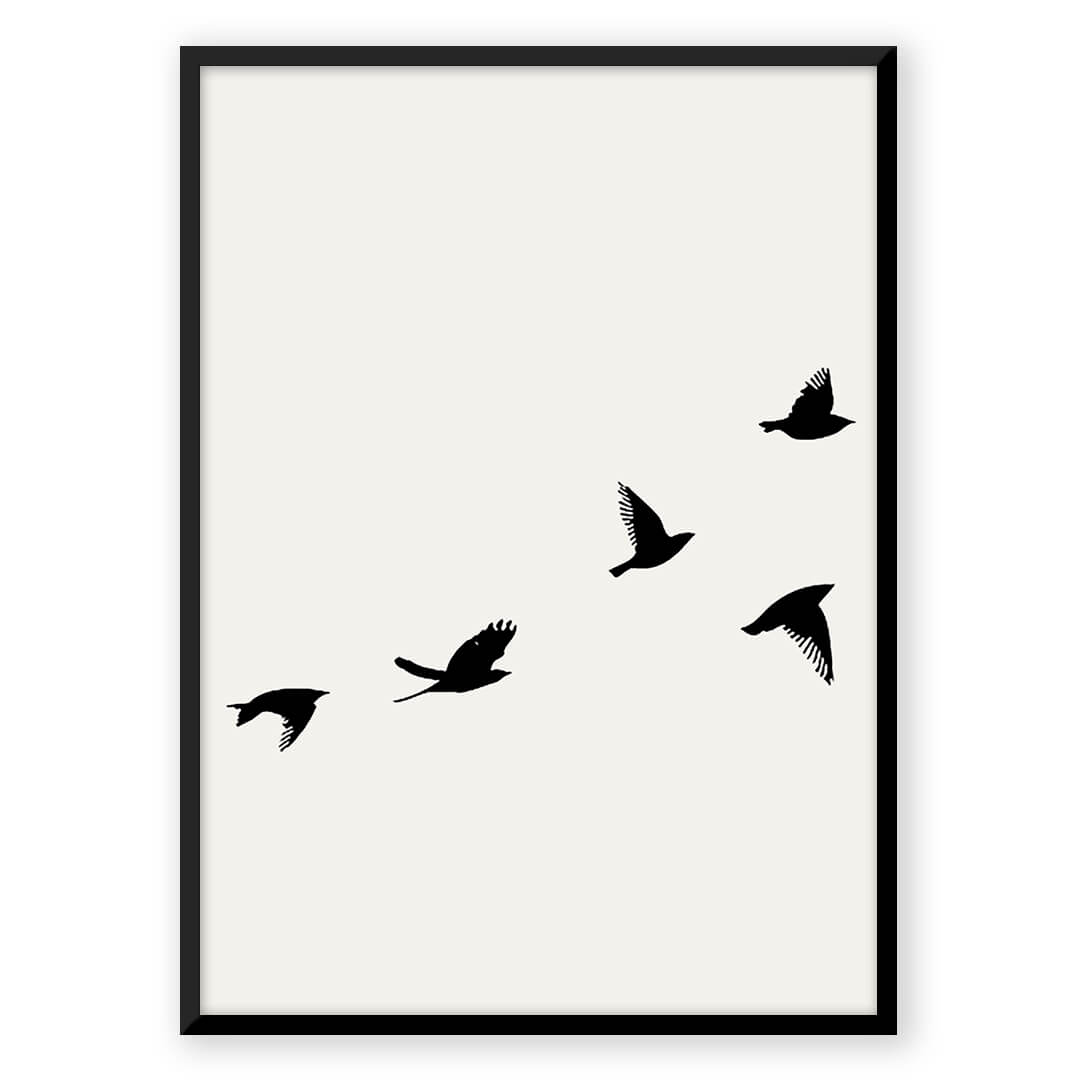 Birds