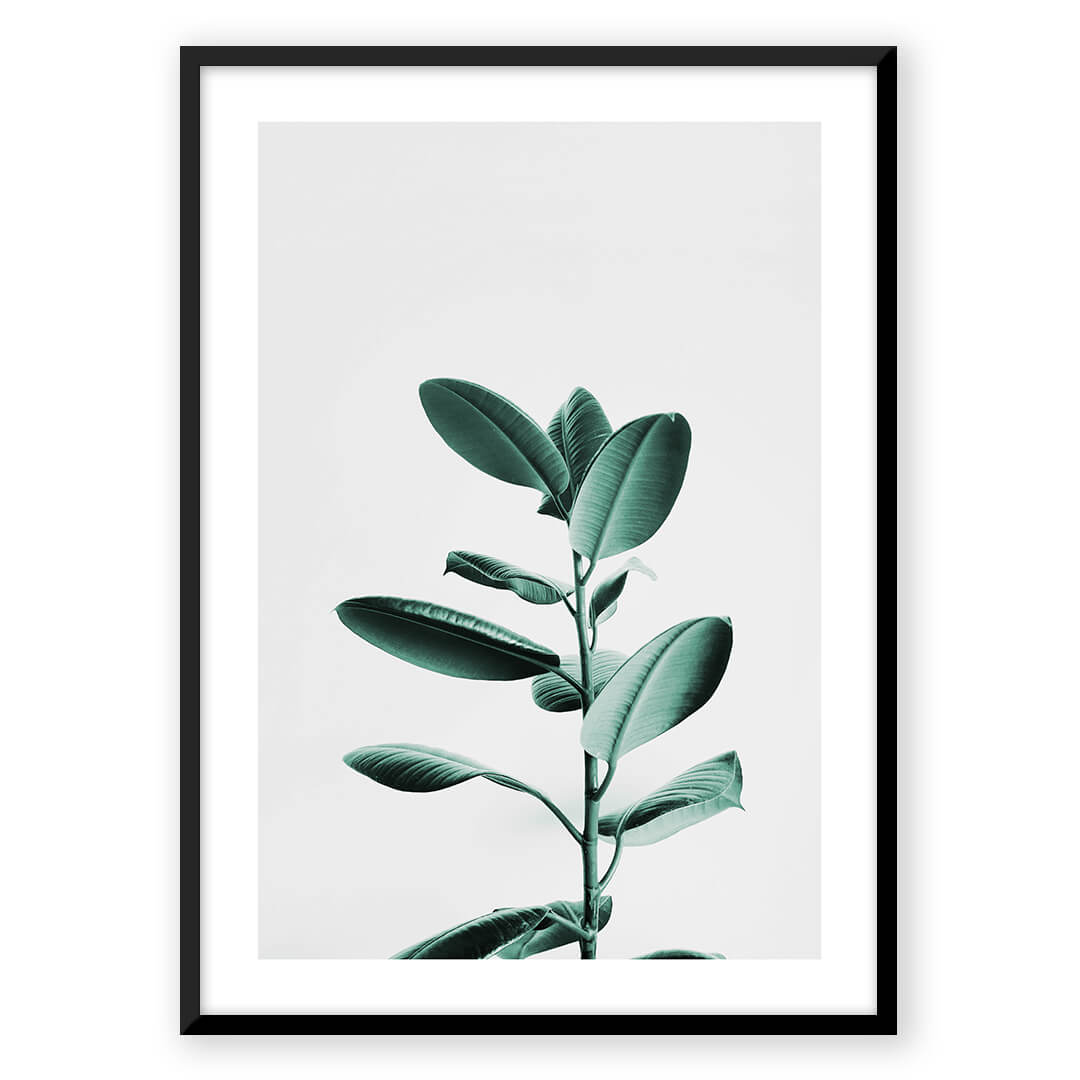 Tulsi