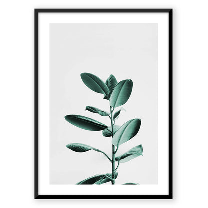 Tulsi