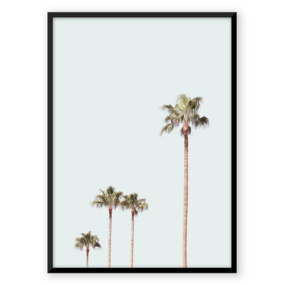 Ocean Breeze