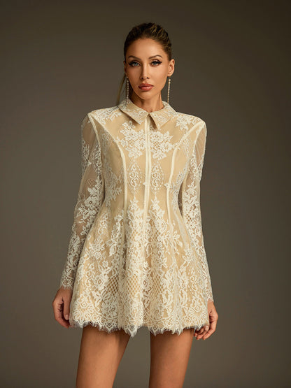 Pointed Collar Lace Overlay Long Sleeve Paneled Fit Flare Mini Dress