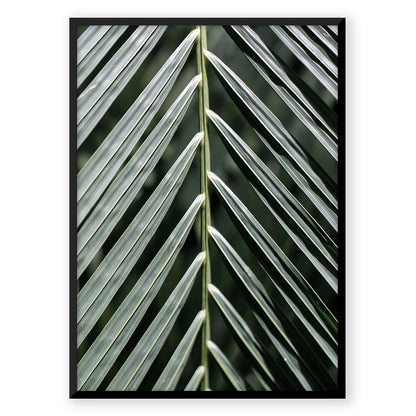 Leaf Green