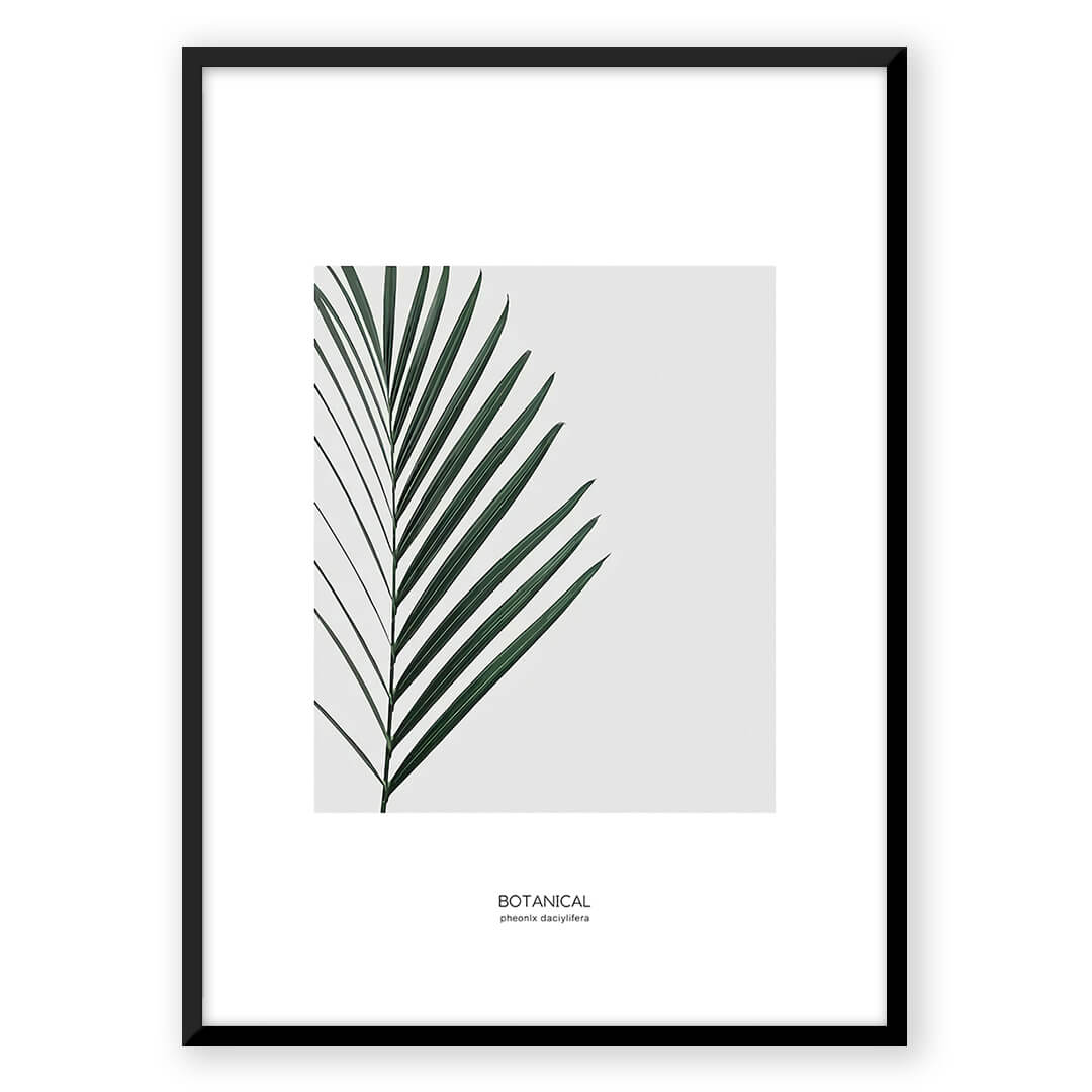 Harmonious Leaves