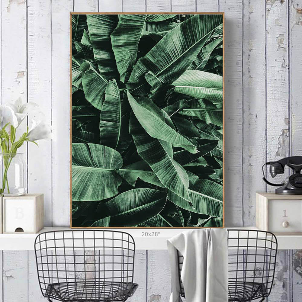 Tropic Jungle