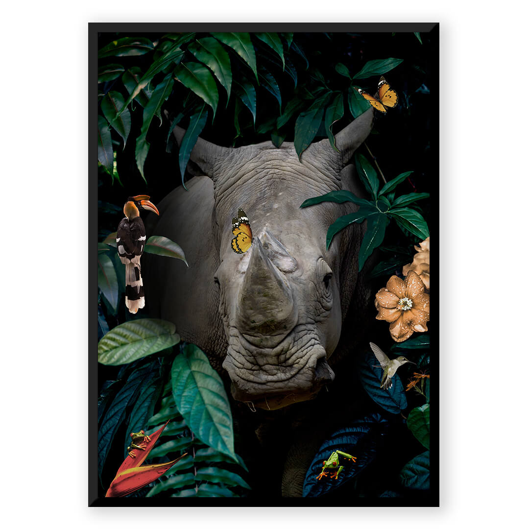 Animal Kingdom