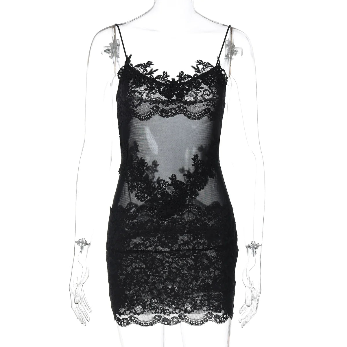 Whitleigh Lace Mesh Mini Dress