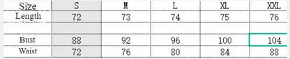 Summer Hot Selling Neckband Rose Flower V-neck Waist Cinched Cake Skirt Chiffon Long Skirt for Women