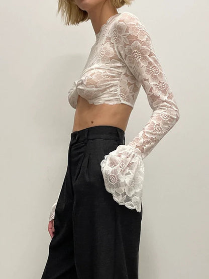 Long Sleeve Lace Charming Mesh Crop Top