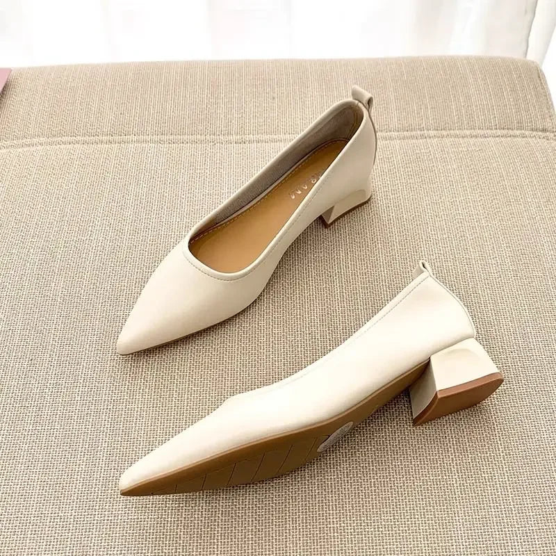 Ladies Pumps Pointed Toe With Medium Heels Women's Shoes Korean Style Luxury Quick Delivery Non Slip Hot Trendy And Low Price