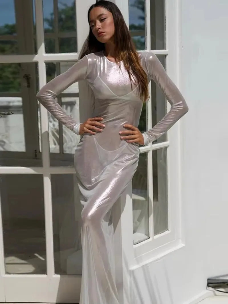 Crew Neck Sheer Mesh Shimmer Long Sleeve Bodycon Maxi Dress