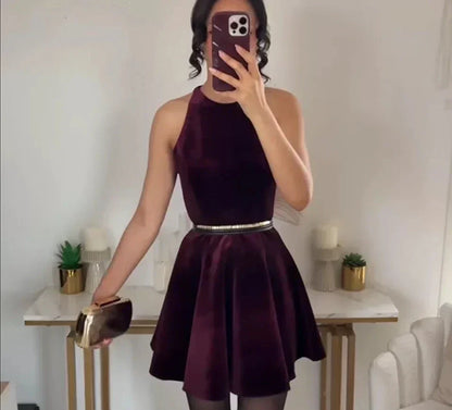 Sleeveless Velvet Belted Fit and Flare Skater Mini Dress