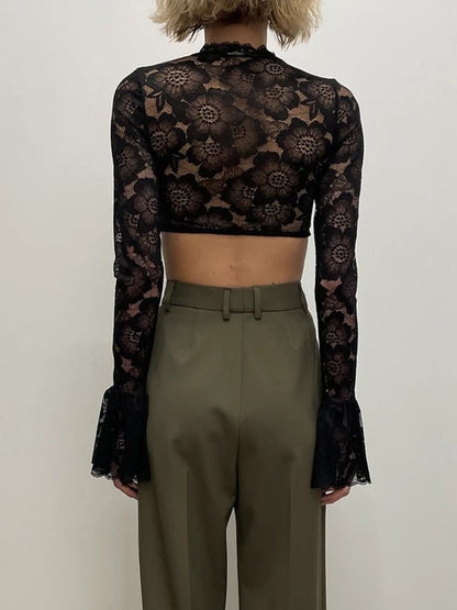 Long Sleeve Lace Charming Mesh Crop Top