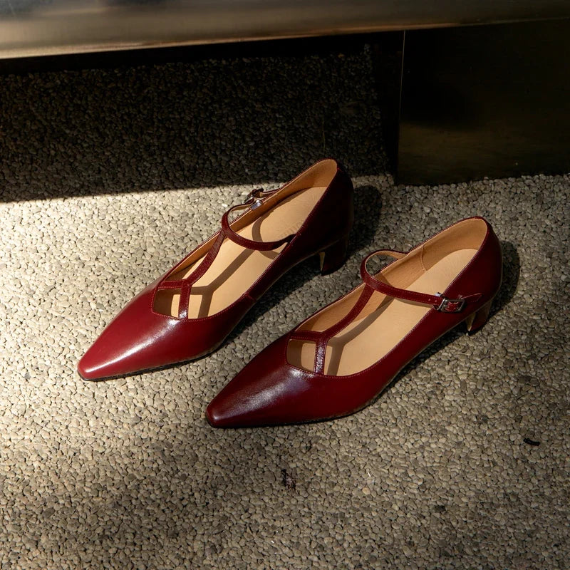 Women Pumps Spring Autumn Ladies Simple Shoes Pointed Toe Mary Jane For Woman T-Srap Cozy Pumps On Square Heel