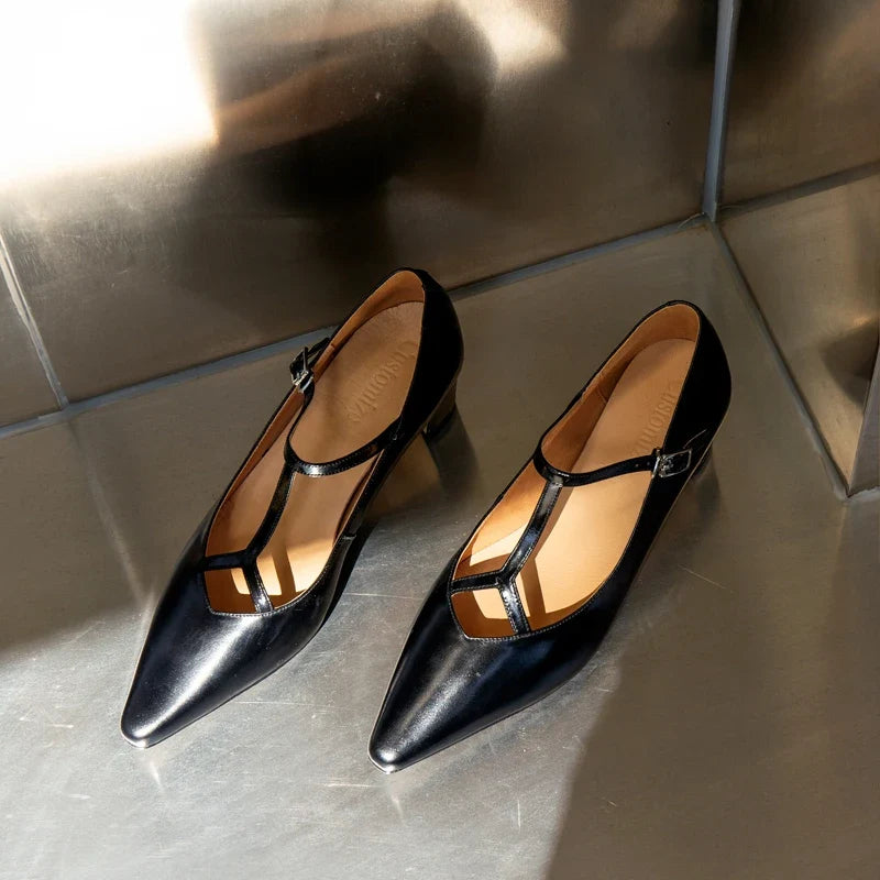 Women Pumps Spring Autumn Ladies Simple Shoes Pointed Toe Mary Jane For Woman T-Srap Cozy Pumps On Square Heel