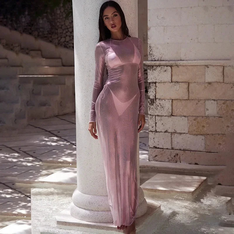 Crew Neck Sheer Mesh Shimmer Long Sleeve Bodycon Maxi Dress