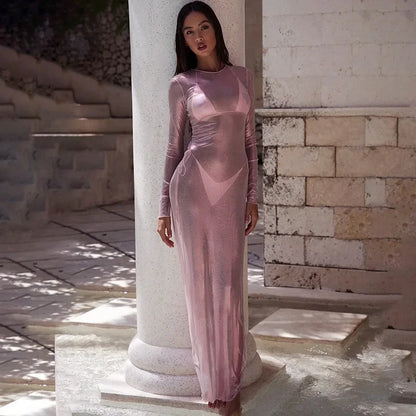 Crew Neck Sheer Mesh Shimmer Long Sleeve Bodycon Maxi Dress