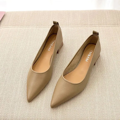 Ladies Pumps Pointed Toe With Medium Heels Women's Shoes Korean Style Luxury Quick Delivery Non Slip Hot Trendy And Low Price