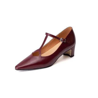 Women Pumps Spring Autumn Ladies Simple Shoes Pointed Toe Mary Jane For Woman T-Srap Cozy Pumps On Square Heel