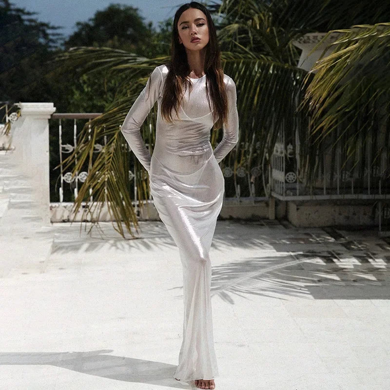 Crew Neck Sheer Mesh Shimmer Long Sleeve Bodycon Maxi Dress