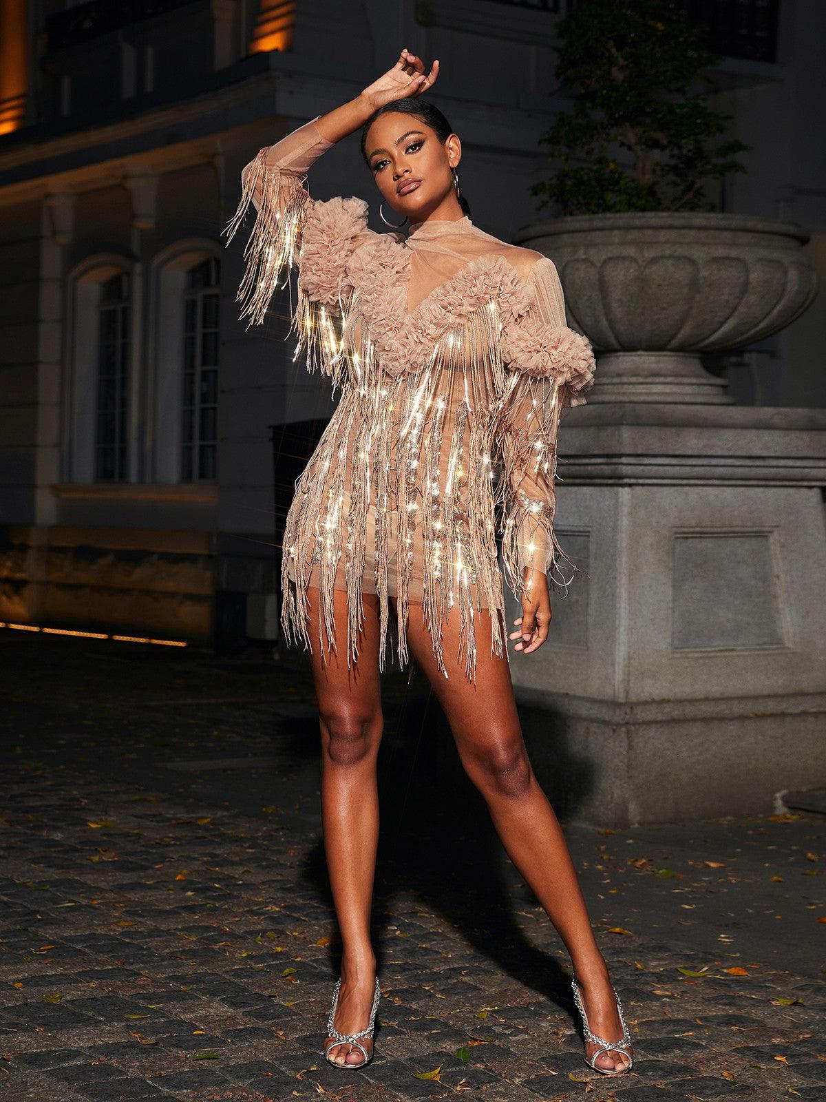 Mock Neck Ruffle Trim Shimmering Fringe Mesh Long Sleeve Mini Dress