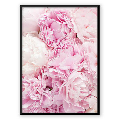 Pink Flowers