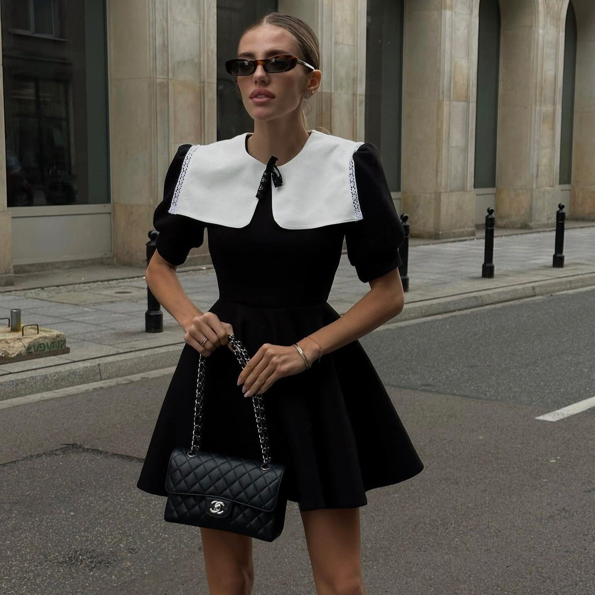 Peter Pan Collar Puff Sleeve Fit and Flare Mini Dress