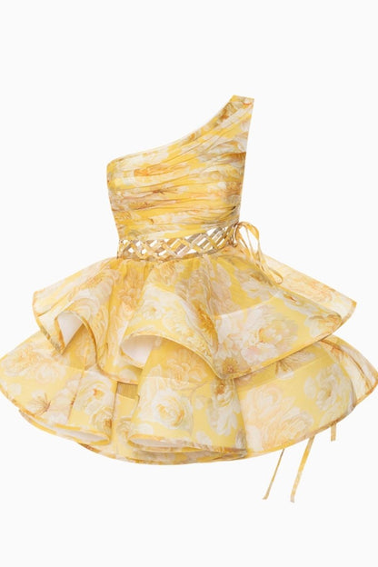 Large Floral Print Lace-Up Side Tie Tiered Ruffle Mini Dress
