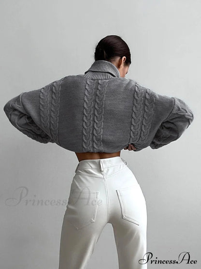 Cable Knit Graceful Turtleneck Oversized Sweater