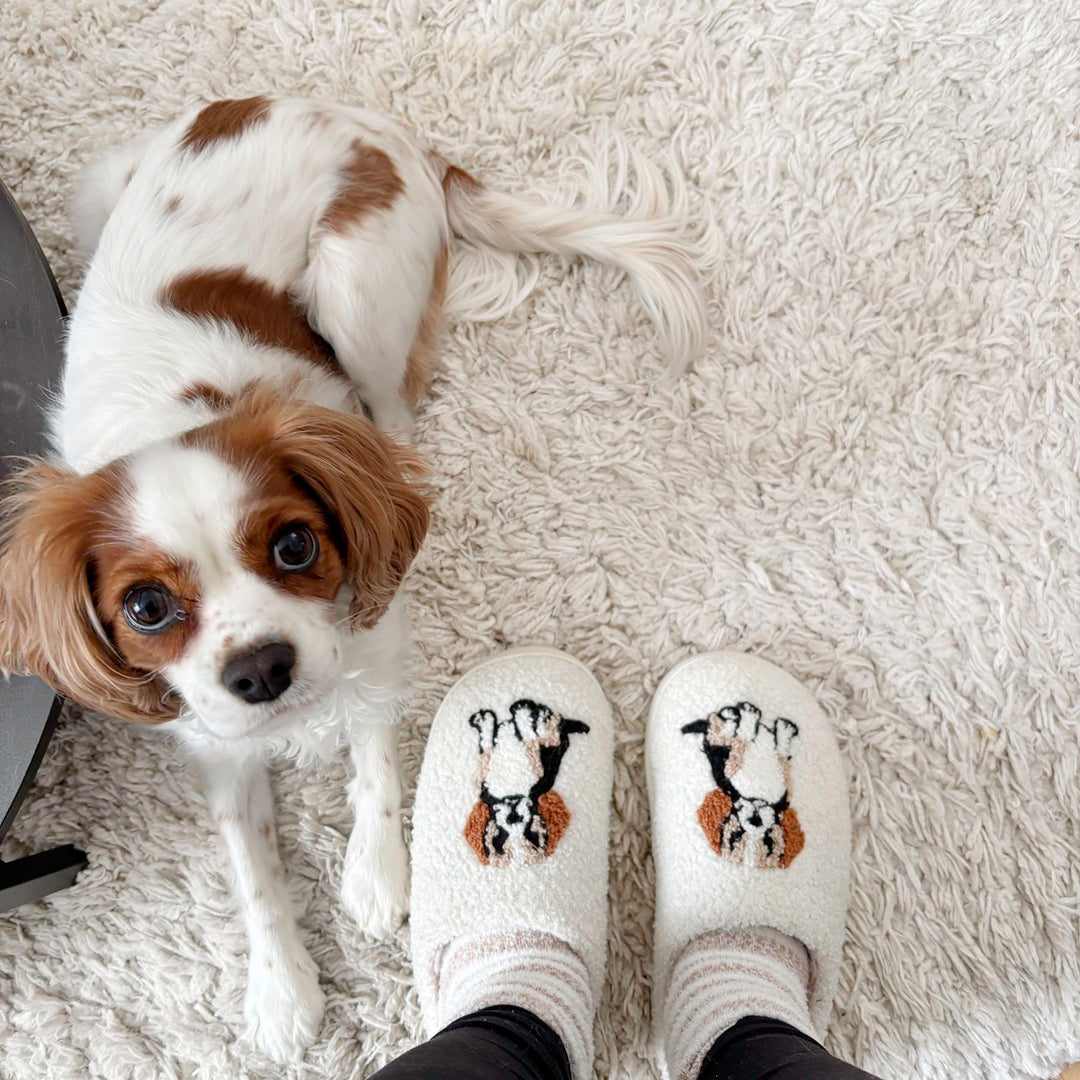 Cavalier King Charles Slippers